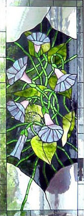Morning Glories