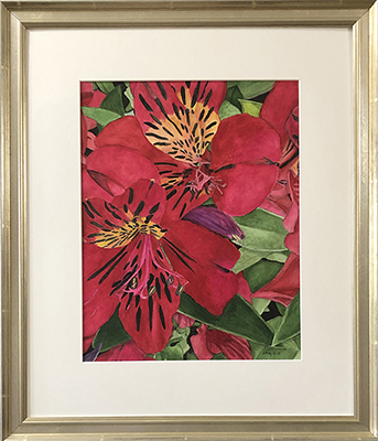 Alstroemeria