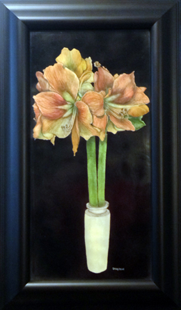 Amaryllis II