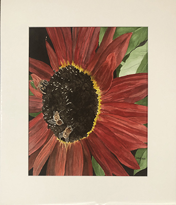 Bees and a Sunflower