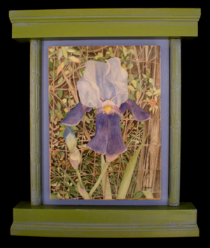 Blue Iris, The Church Flower