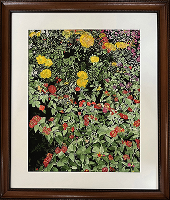 Flowers in a Garden